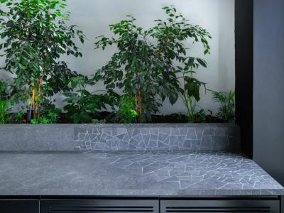 Mullet, Tirana, Albania