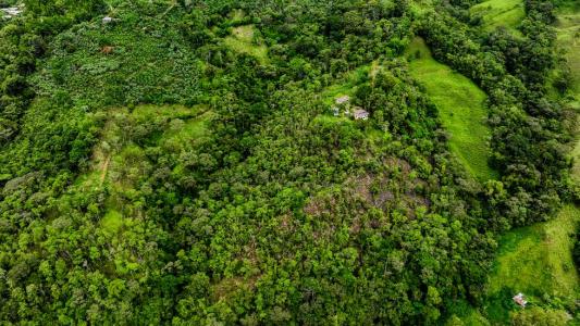 , San Isidro Del General Pérez Zeledón, San José 00001, Costa Rica