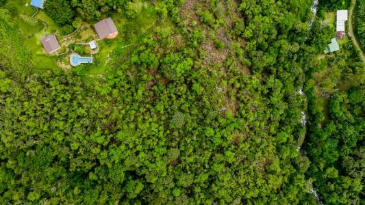 , San Isidro Del General Pérez Zeledón, San José 00001, Costa Rica