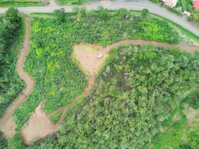 Parrita Parrita, Puntarenas 60901, Costa Rica