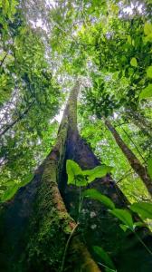 Parrita Parrita, Puntarenas 60901, Costa Rica