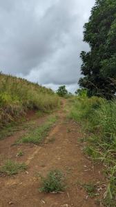 Parrita Parrita, Puntarenas 60901, Costa Rica