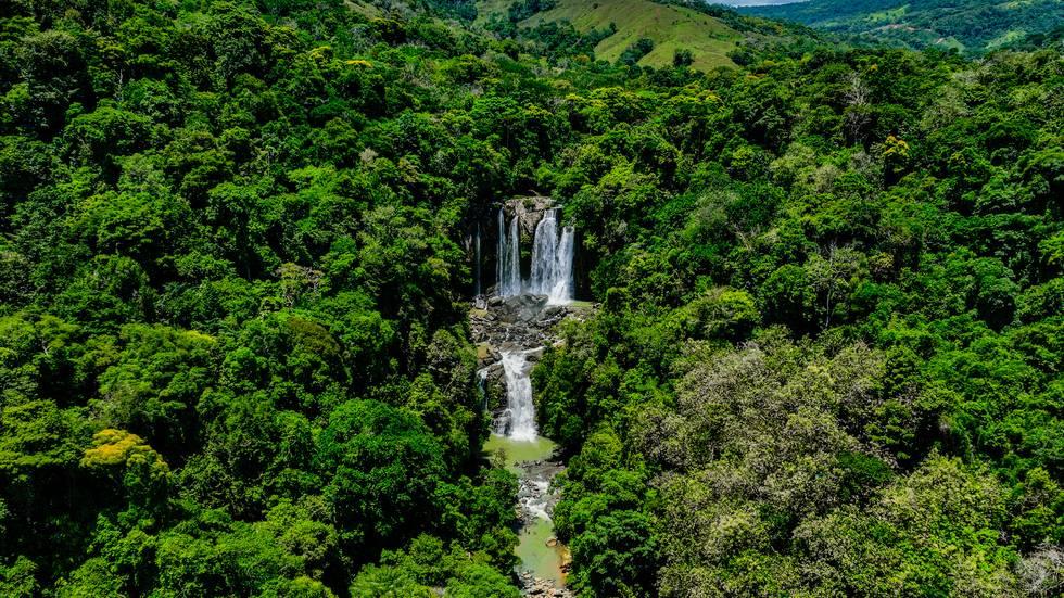 Platanillo Barú Pérez Zeledón, San José 00001, Costa Rica