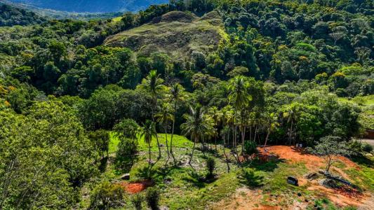 Platanillo Barú Pérez Zeledón, San José 00001, Costa Rica