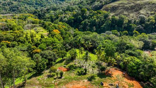 Platanillo Barú Pérez Zeledón, San José 00001, Costa Rica