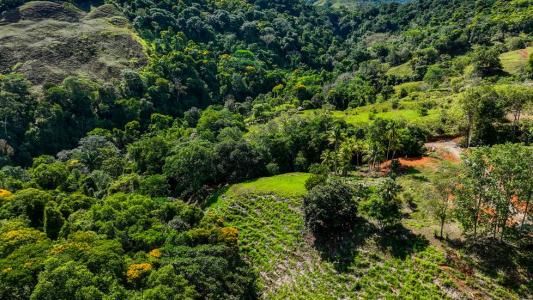 Platanillo Barú Pérez Zeledón, San José 00001, Costa Rica