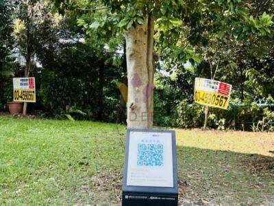 和平段, 大溪區, Taoyuan 335, Tajwan