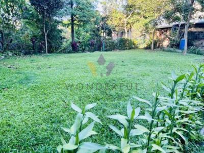 和平段, 大溪區, Taoyuan 335, Tajwan