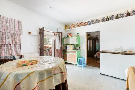 Portalegre, Portalegre 7300-591, Portugal