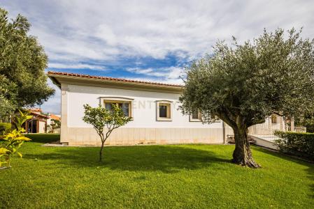 Leiria, Leiria 2410-057, Portugal