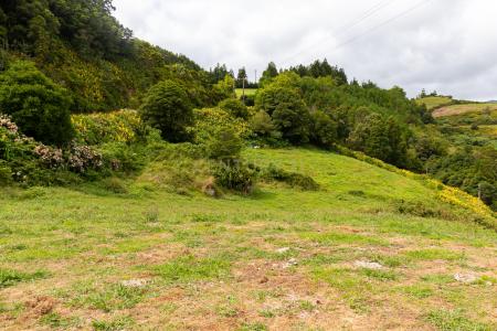 Povoação, São Miguel 9650-218, Portugalia