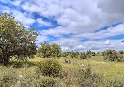 Olhão, Фару 8700-073, Португалия