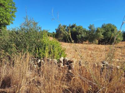 Olhão, Фару 8700-073, Португалия