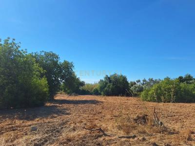 Olhão, Фару 8700-073, Португалия