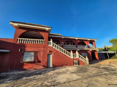 València/Valencia, Comunitat Valenciana 46724, Spain