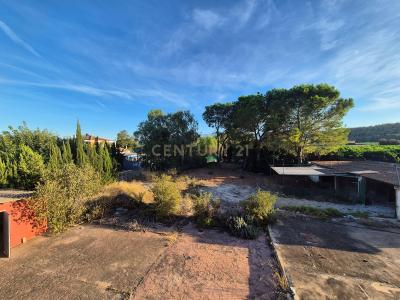 València/Valencia, Comunitat Valenciana 46724, Spain