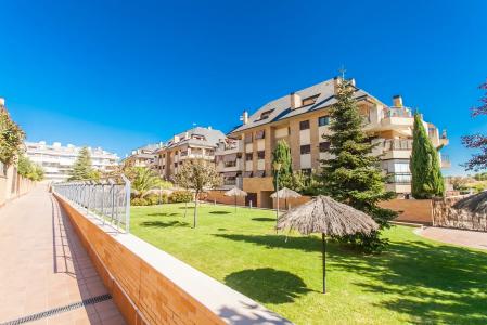 Madrid, Comunidad de Madrid 28669, Spain