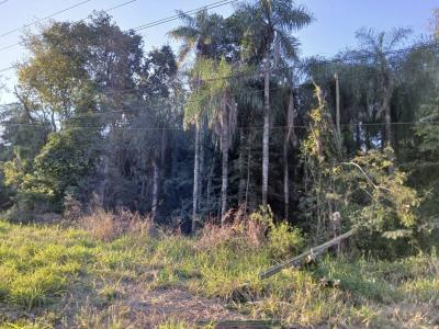 Eusebio Ayala, Cordillera 00001, Paraguai