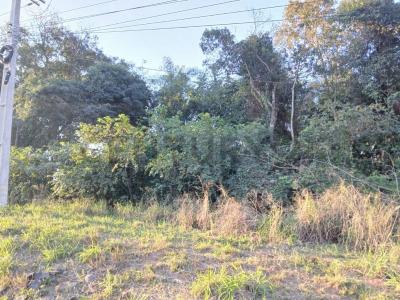 Eusebio Ayala, Cordillera 00001, Paraguai