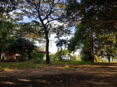 warnes a 1km sobre carretera , Norte, Santa Cruz 00001, Bolivia