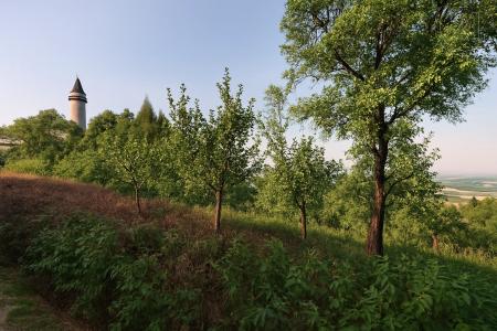 Štramberk, Nový Jičín 100 00, Repubblica Ceca