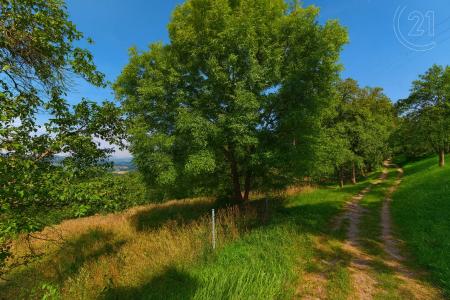 Štramberk, Nový Jičín 100 00, Repubblica Ceca