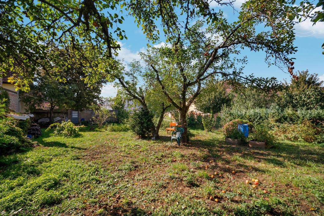 Šlapanice, Brno-venkov 100 00, Czech Republic