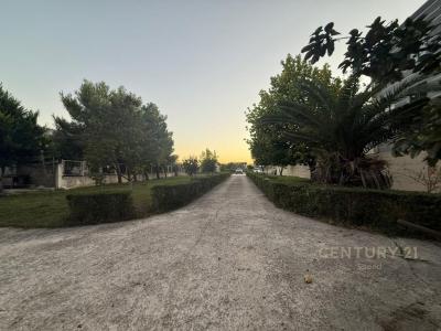 Shkozet, Durrës, אלבניה 