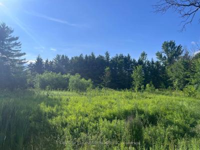 00 RUSSETT DRIVE, Mcnab/braeside, Ontario K7S 3G8, Canada