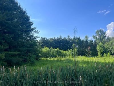 00 RUSSETT DRIVE, Mcnab/braeside, Онтарио K7S 3G8, Канада