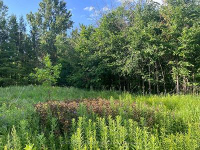 00 RUSSETT DRIVE, Mcnab/braeside, Онтарио K7S 3G8, Канада