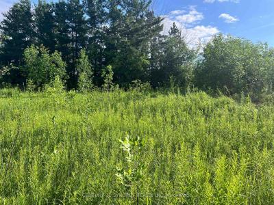 00 RUSSETT DRIVE, Mcnab/braeside, Онтарио K7S 3G8, Канада