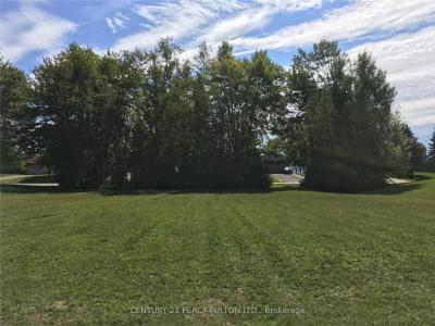 81 BAYSHORE DRIVE, Ramara, 安大略省 L0K 1B0, 加拿大