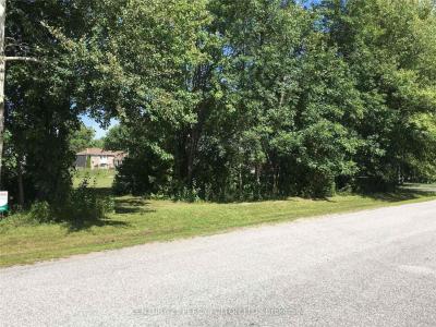 81 BAYSHORE DRIVE, Ramara, 安大略省 L0K 1B0, 加拿大