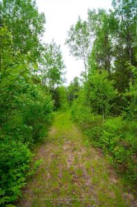 2647C HIGHWAY 17 N/A E, East Ferris, Ontario P0H 1K0, Canada