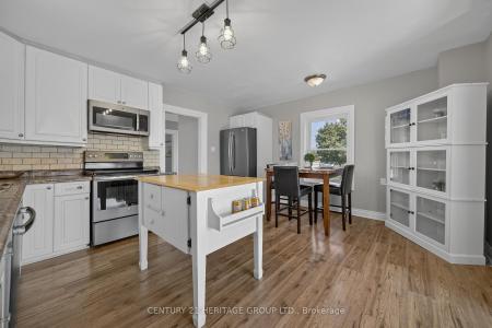 397 MARA ROAD, Brock, 安大略省 L0K 1A0, 加拿大