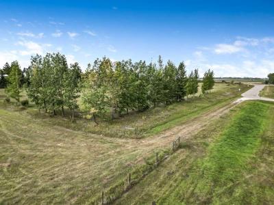 104001 275 AVENUE E, Rural Foothills County, Alberta T0L 0X0, Canada