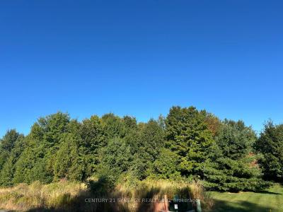 124 DERBEYSHIRE STREET, Kanata, 온타리오주 K2W 0E7, 캐나다