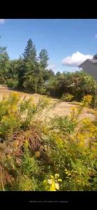 3294 INNISFIL BEACH ROAD E, Innisfil, Ontario L9S 4C7, Kanada