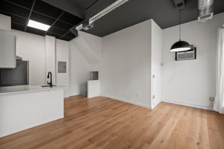 435 N Washington Avenue, Royal Oak, Michigan 48067, HOA KỲ