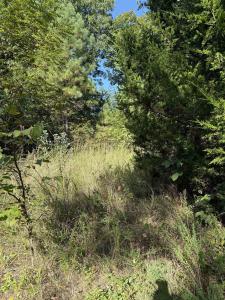 1213 Ridge Circle, Horseshoe Bend, Арканзас 72512, Соединенные Штаты