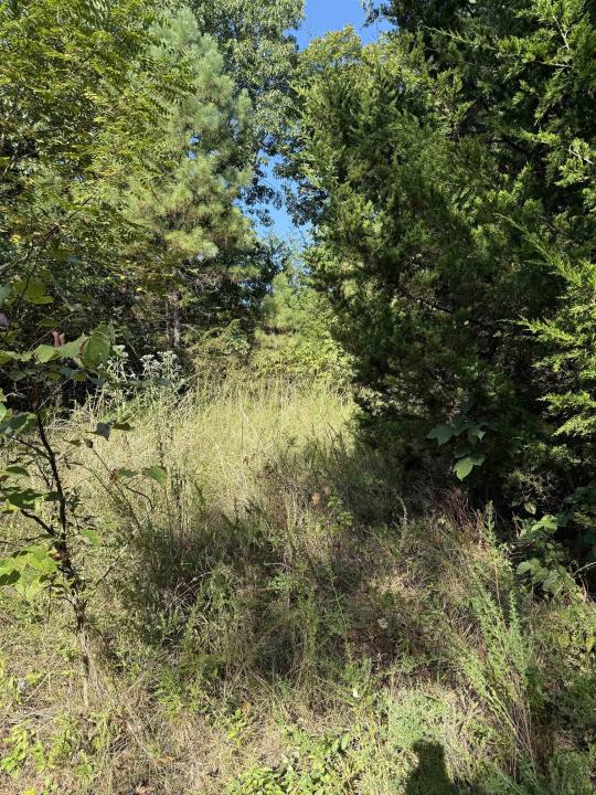 1213 Ridge Circle, Horseshoe Bend, Arkansas 72512, Stati Uniti