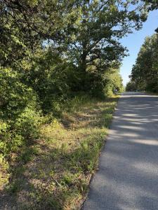 1213 Ridge Circle, Horseshoe Bend, Arkansas 72512, Stati Uniti