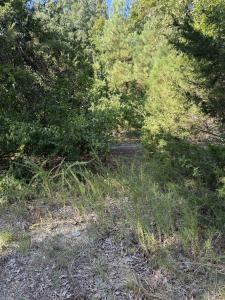 1213 Ridge Circle, Horseshoe Bend, Arkansas 72512, Stati Uniti