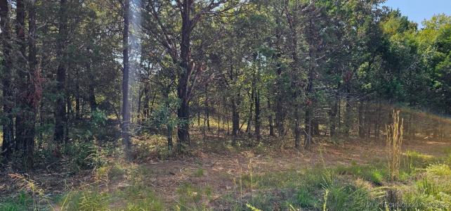 994 Road, Gore, 奧克拉荷馬州 74435, 美國