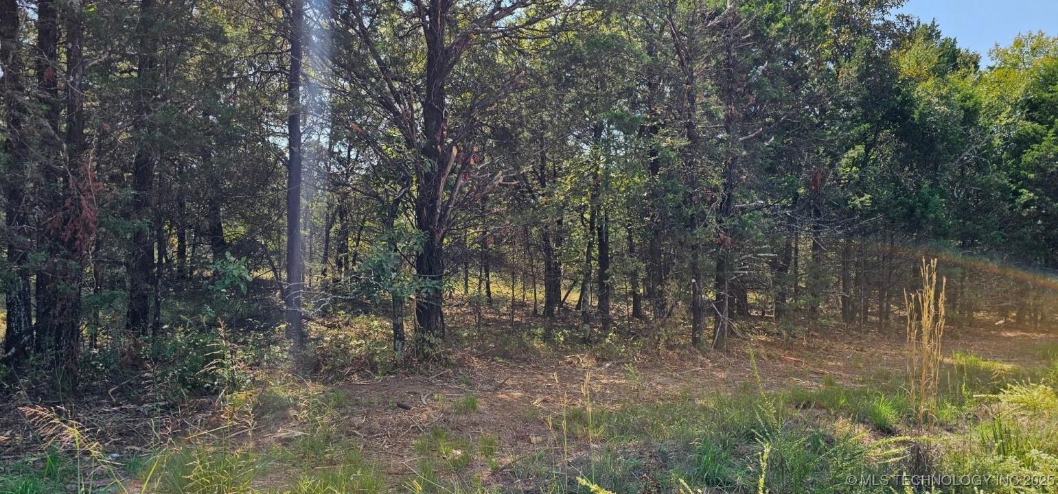 994 Road, Gore, 俄克拉荷马州 74435, 美国