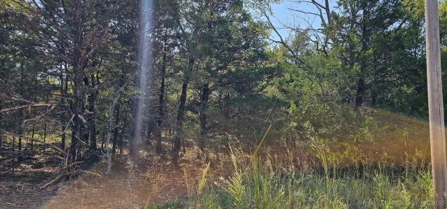 994 Road, Gore, 俄克拉荷马州 74435, 美国