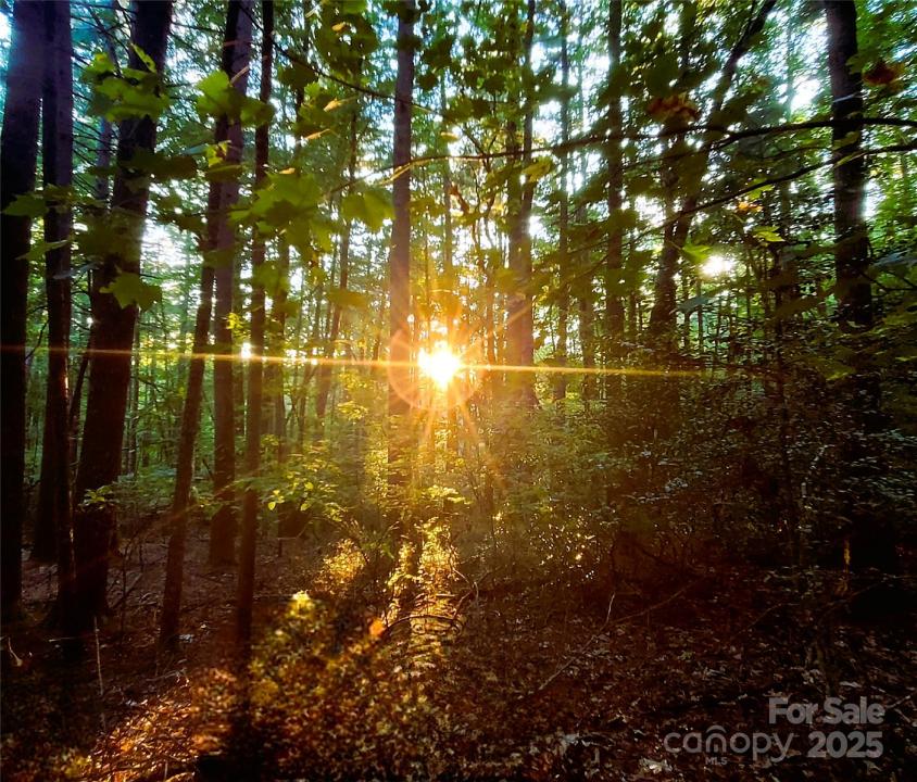 0 Broyles Road, Hendersonville, Caroline Du Nord 28791, États-Unis