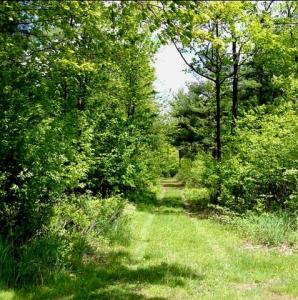 2 Melissa Drive, Lewiston, 緬因州 04240, 美國