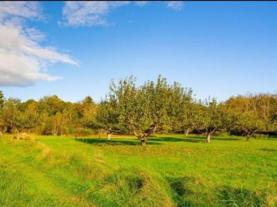 2 Melissa Drive, Lewiston, 緬因州 04240, 美國